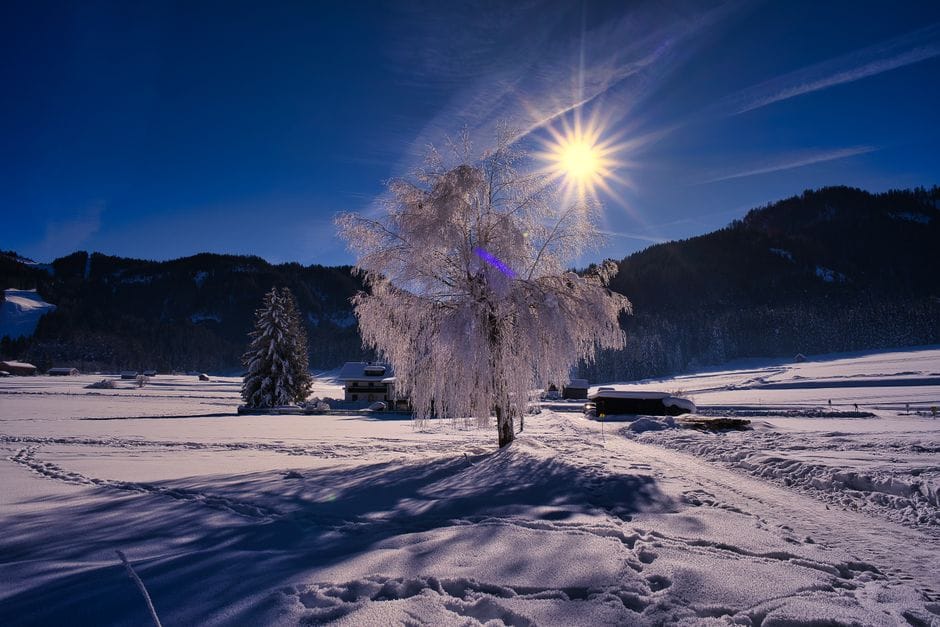 Vitamin D im Winterhalbjahr: Was wirklich zählt und was Marketing ist