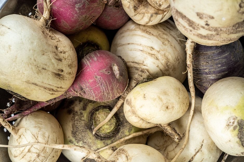 Herbstküche: Warum Kürbis, Kohl und Wurzelgemüse jetzt auf den Teller gehören