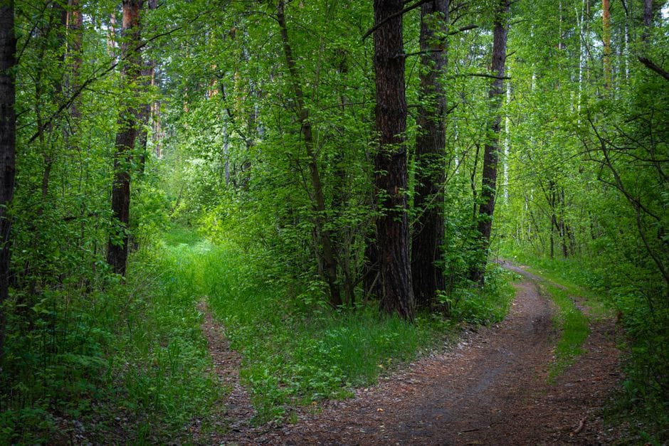 Wandern im Frühling: Die Natur als Erholungsraum entdecken