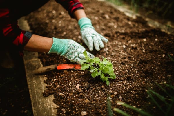 Gartenarbeit: Bewegung und Stressabbau an der frischen Luft
