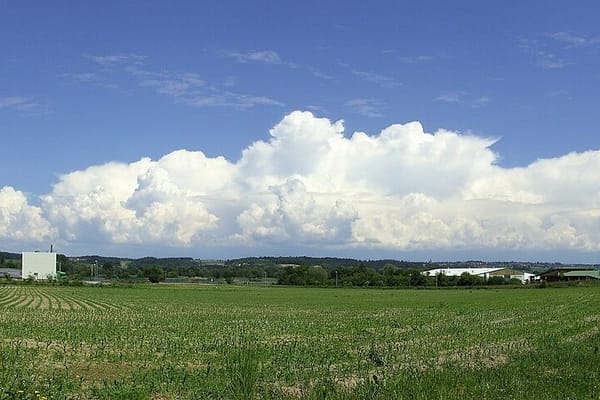 Wetterfühligkeit im Sommer: Wenn Kopfschmerz und Unruhe vor dem Gewitter kommen